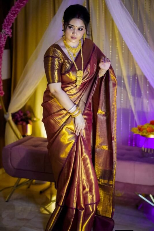 ব্লাউজ পিস সহ প্রিমিয়াম কাঞ্চিপুরম